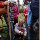 Święto Drzewa